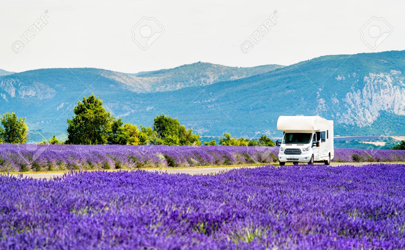 Motorhome in a lavender field in Provence, France - 110878969 Motorhome in a lavender field in Provence, France - 110878969