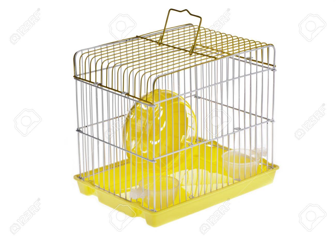hamster box cage