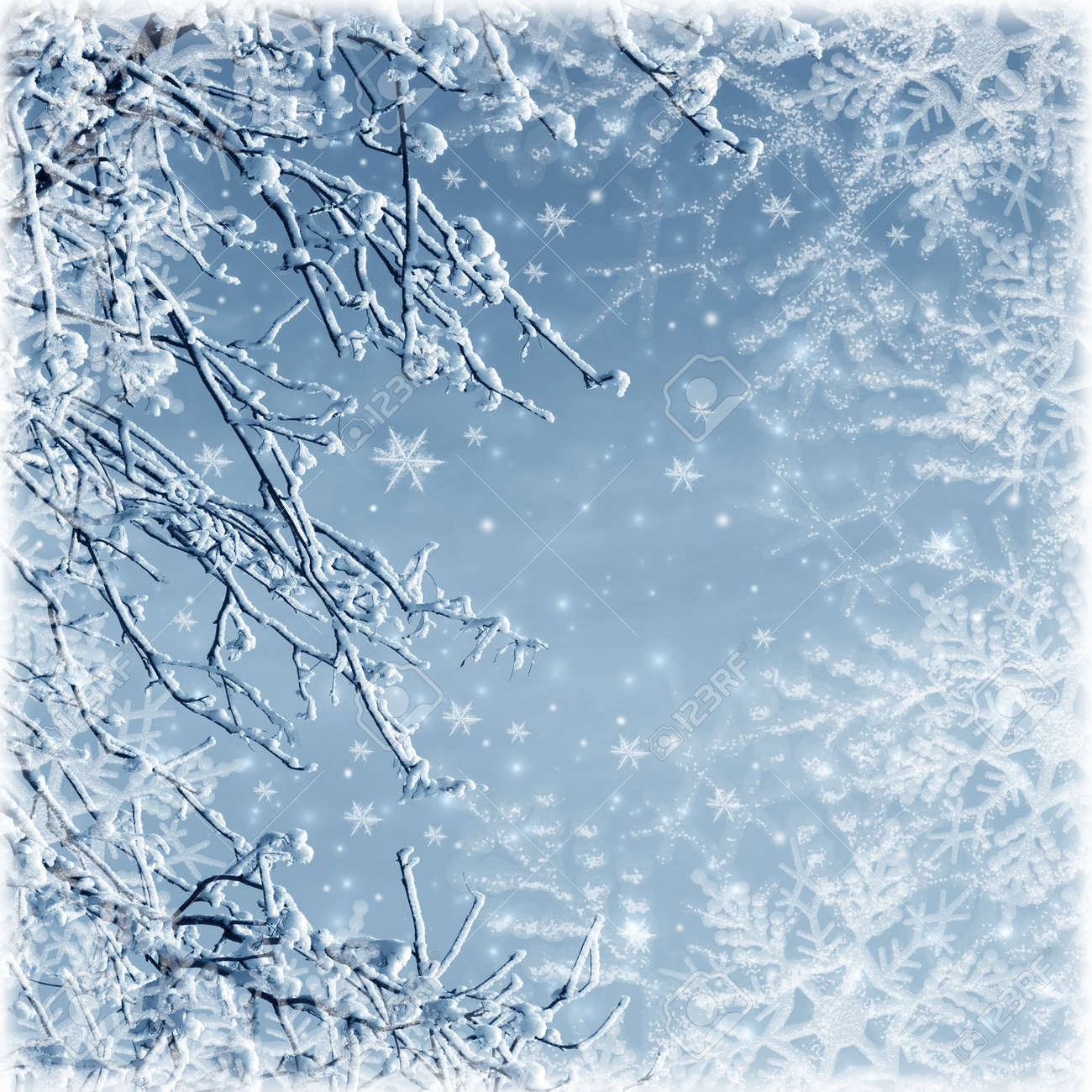 ツリー 雪および霜と霧の冬の画像 の写真素材 画像素材 Image