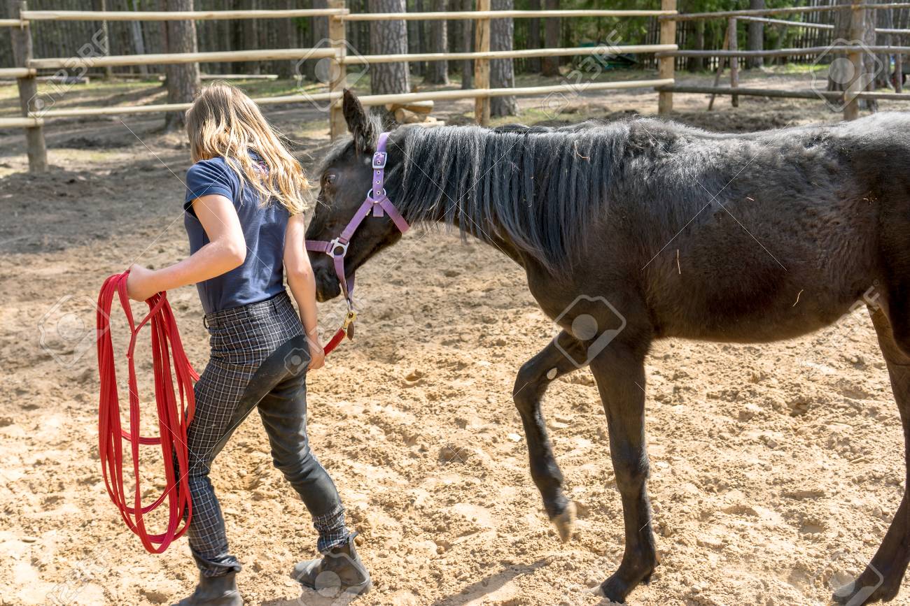 小さな女の子と彼女の親友の子馬 の写真素材 画像素材 Image
