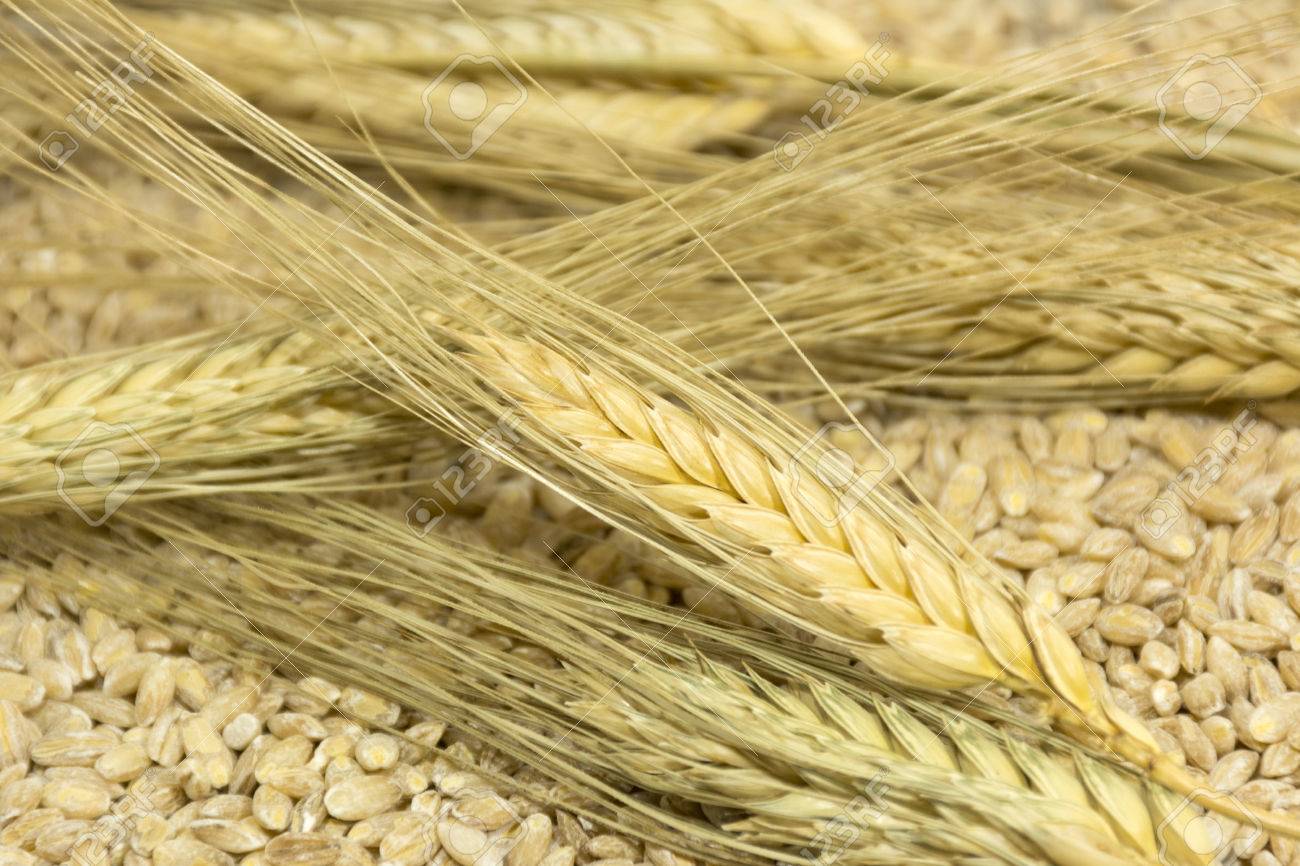 Getreide für die Mercadona-Diät Getreide für die Mercadona-Diät