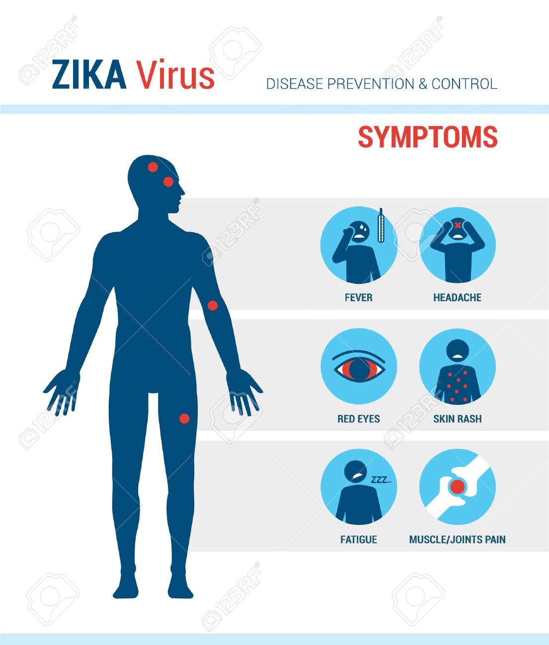Zika Virus Symptoms Infographics With Stick Figures And Text Royalty Free Cliparts Vectors And Stock Illustration Image 52235867