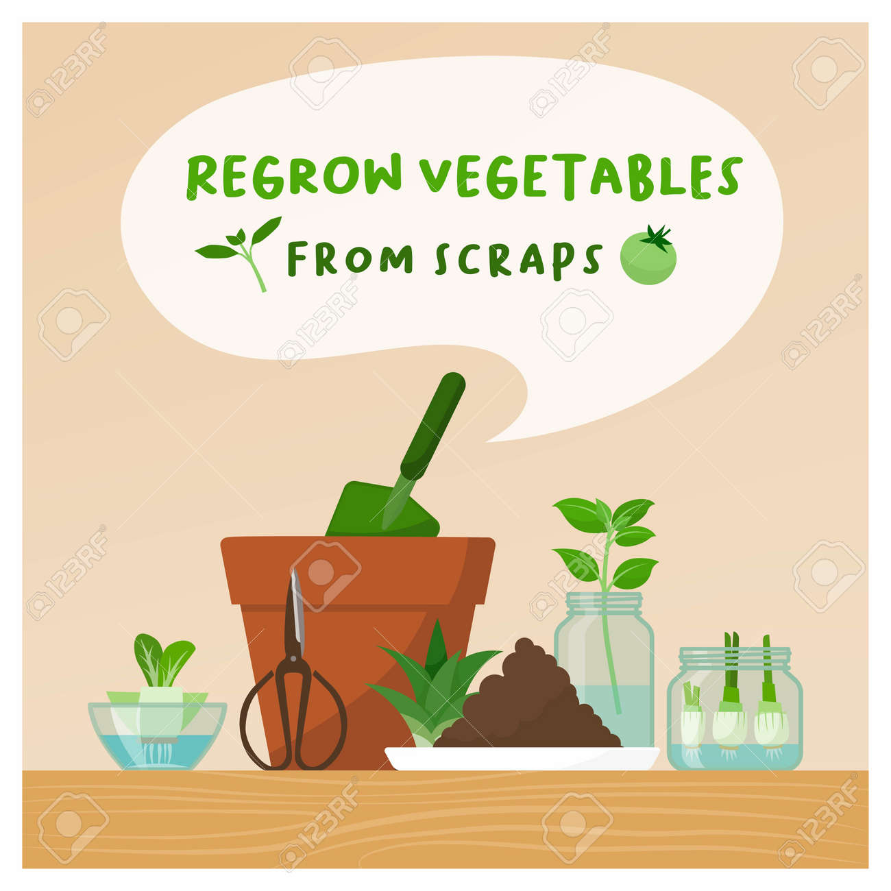 Regrow vegetables from scraps at home: zero waste, DIY gardening and healthy food concept - 164341199 Regrow vegetables from scraps at home: zero waste, DIY gardening and healthy food concept - 164341199