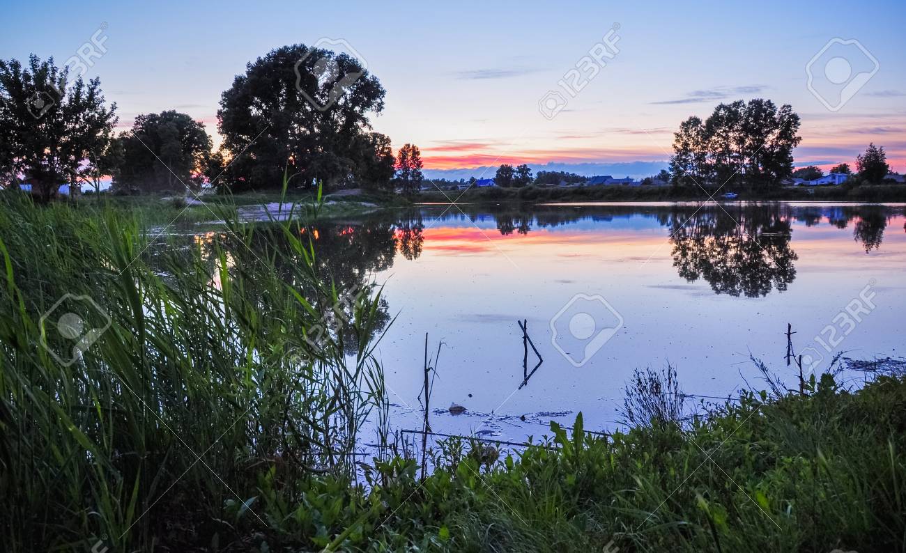 tranquil nature