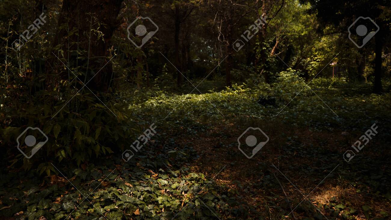 etiam-dictum-ipsum-a-felis