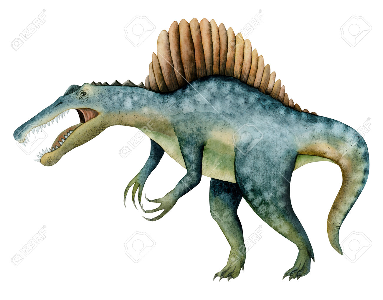 スピノサウルス イラスト