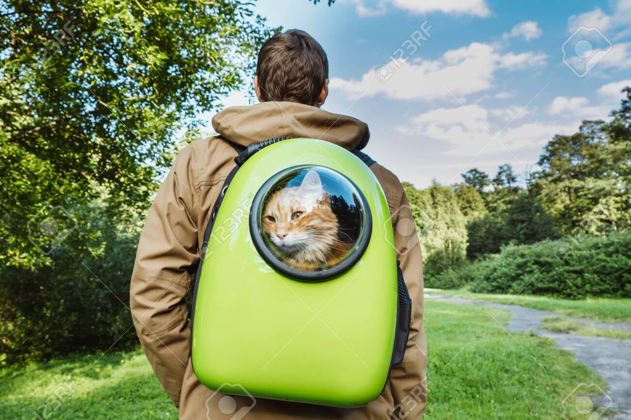 backpack with cat window