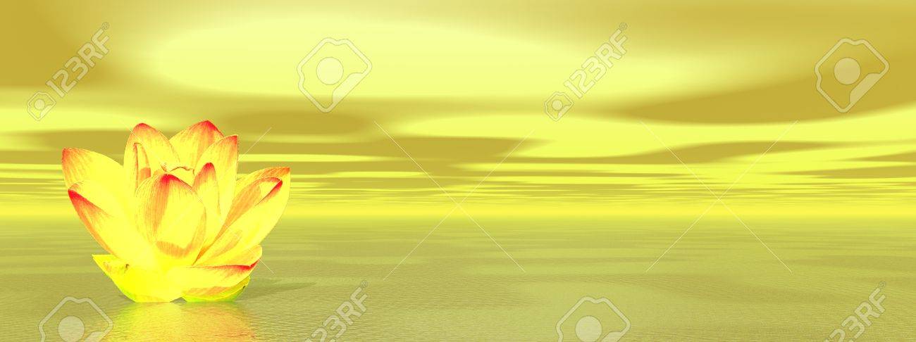 第 3 チャクラを象徴する海に黄色のユリの花 の写真素材 画像素材 Image 第 3 チャクラを象徴する海に黄色のユリの花 の写真素材 画像素材 Image