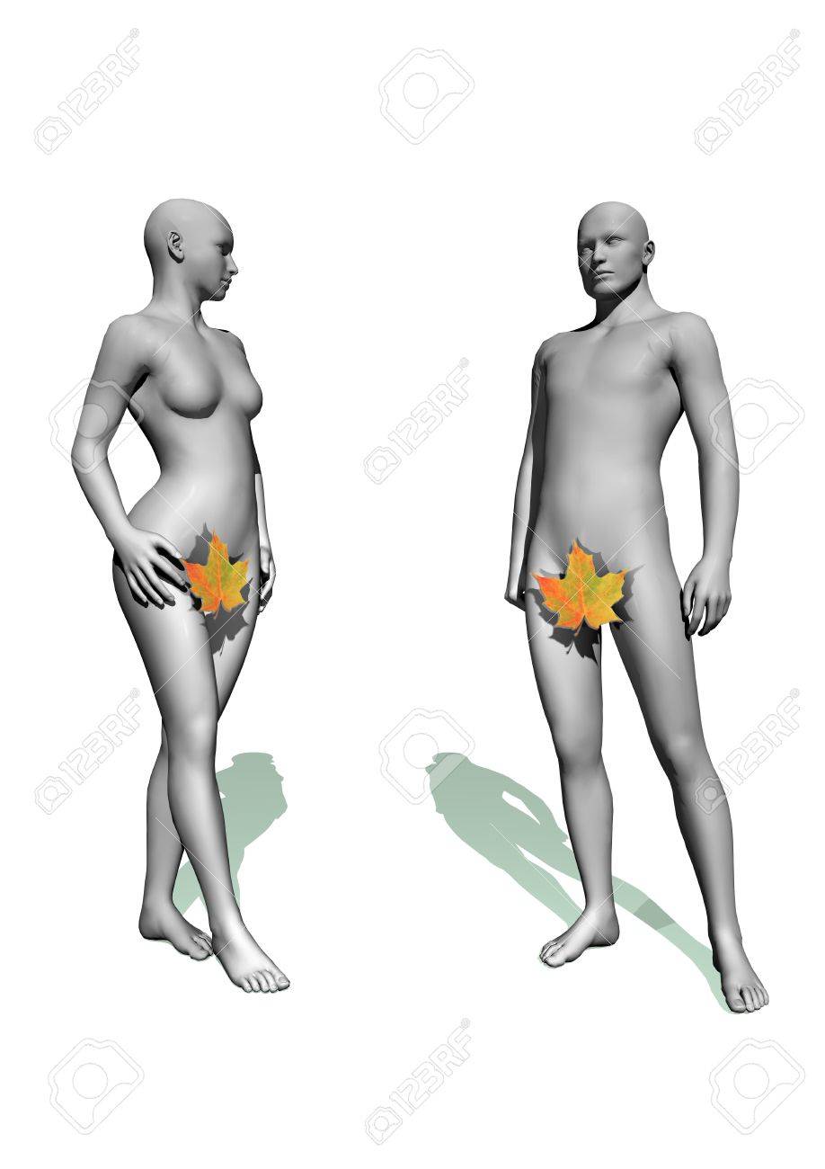 Adán Y Eva Desnudos Con Una Hoja En Fondo Blanco Fotos, retratos, imágenes  y fotografía de archivo libres de derecho. Image 12619420
