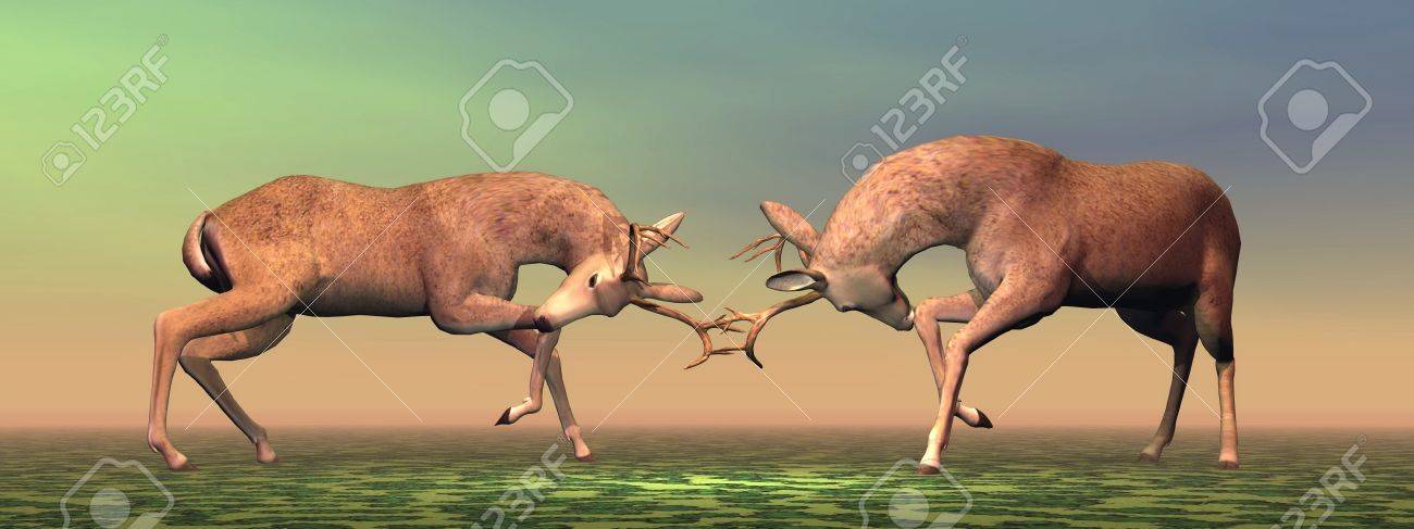 茶色と緑の背景の光で 1 つの別の戦闘休耕降圧鹿 の写真素材 画像素材 Image 20847485