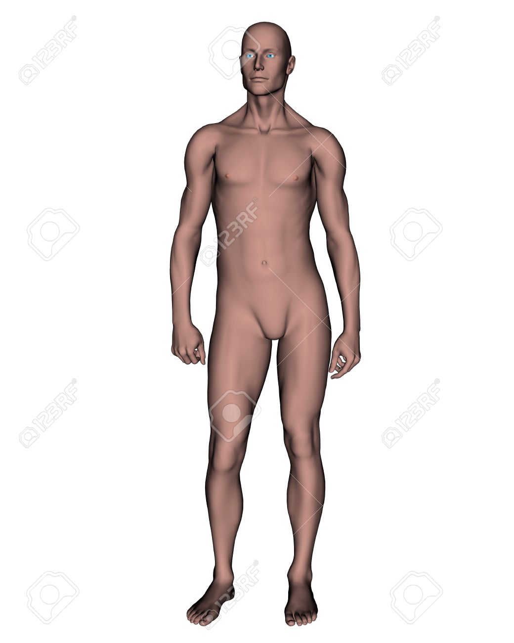standing naked male Standing naked male