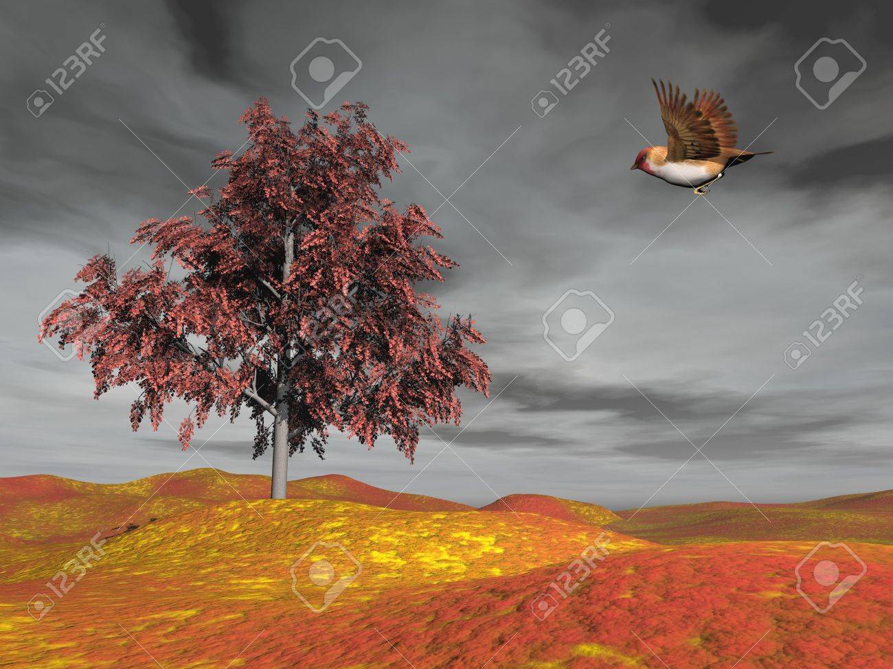 Tout Ce Que Vous Devez Savoir Sur La Grive Solognac