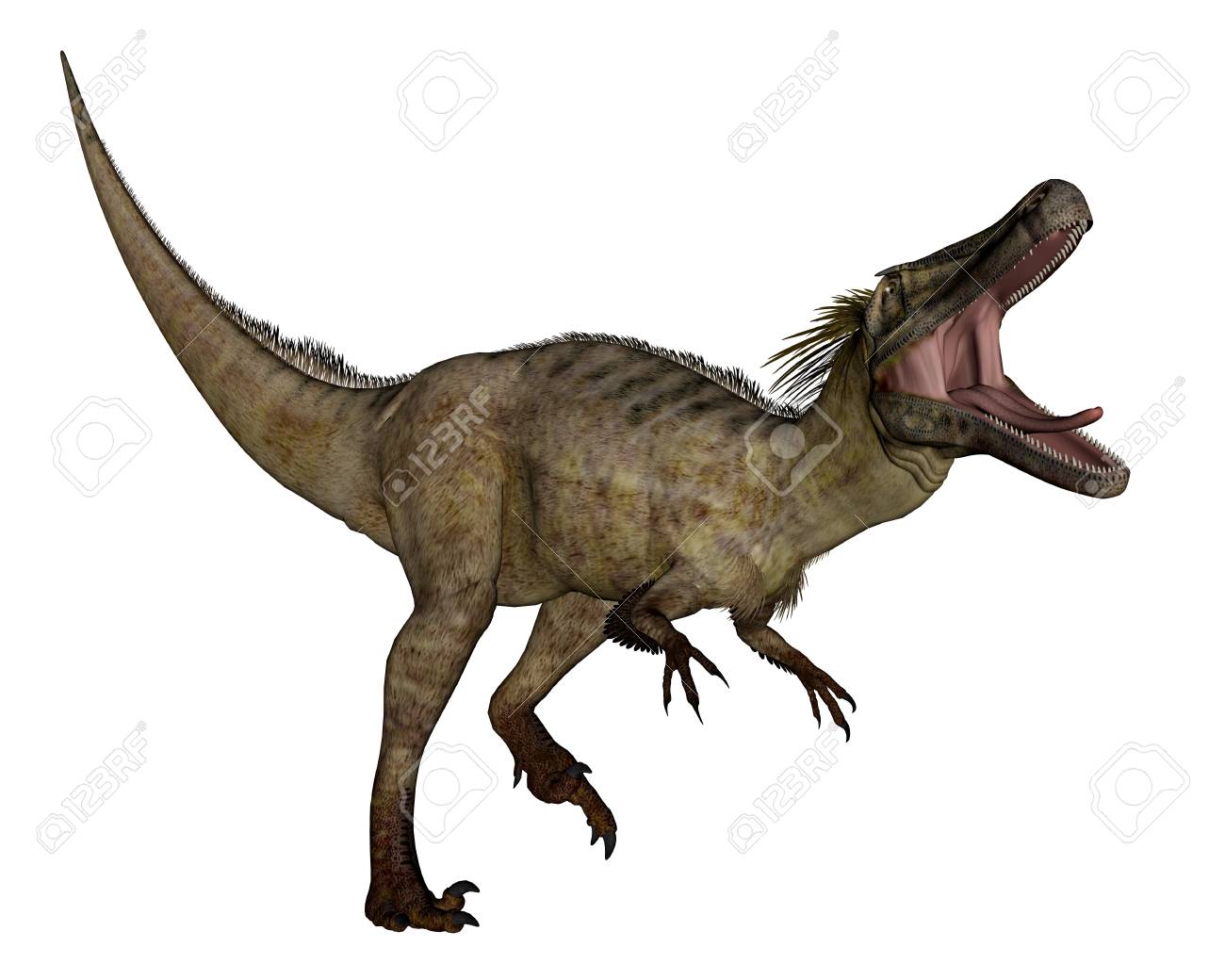 Austroraptor Dinosaur 3d Render Stock Photo Picture And Royalty Free Image Image 87954673