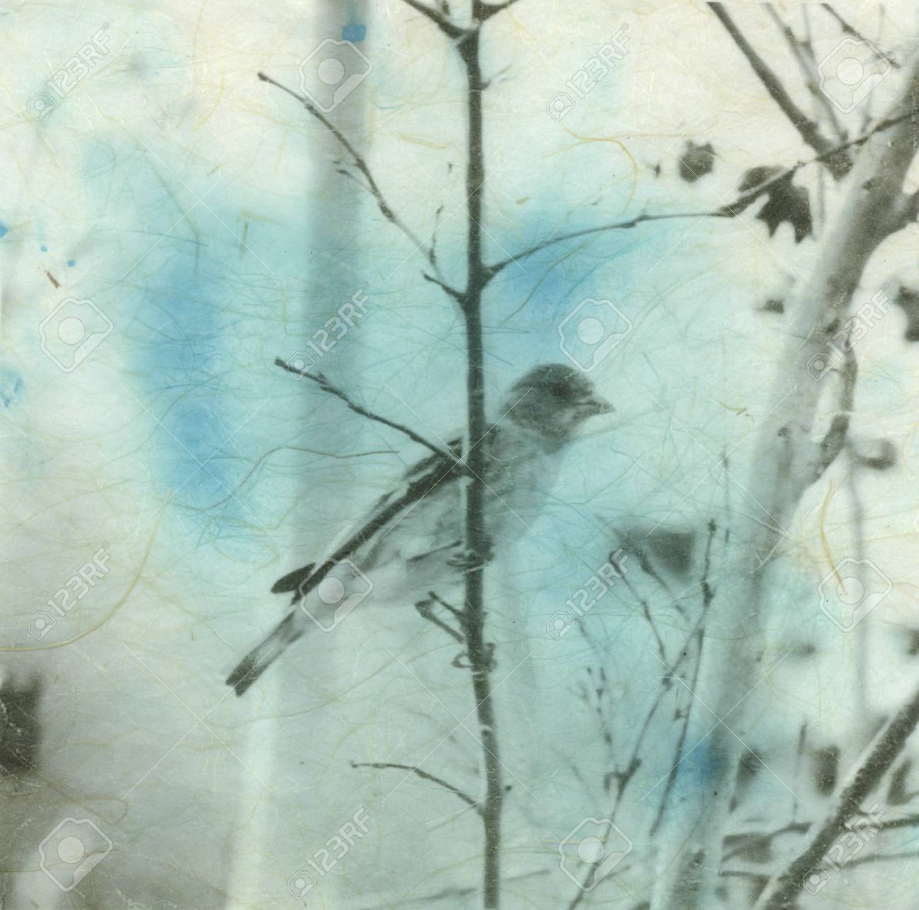 Photograph printed on blue staned Japanese Kinwashi manila hemp paper. - 7351696 Photograph printed on blue staned Japanese Kinwashi manila hemp paper. - 7351696