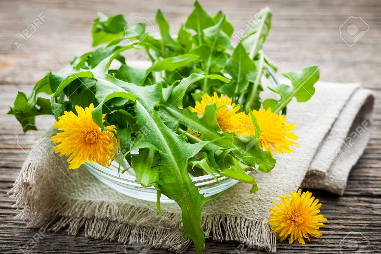 食用タンポポの花を採とボウル緑 の写真素材 画像素材 Image