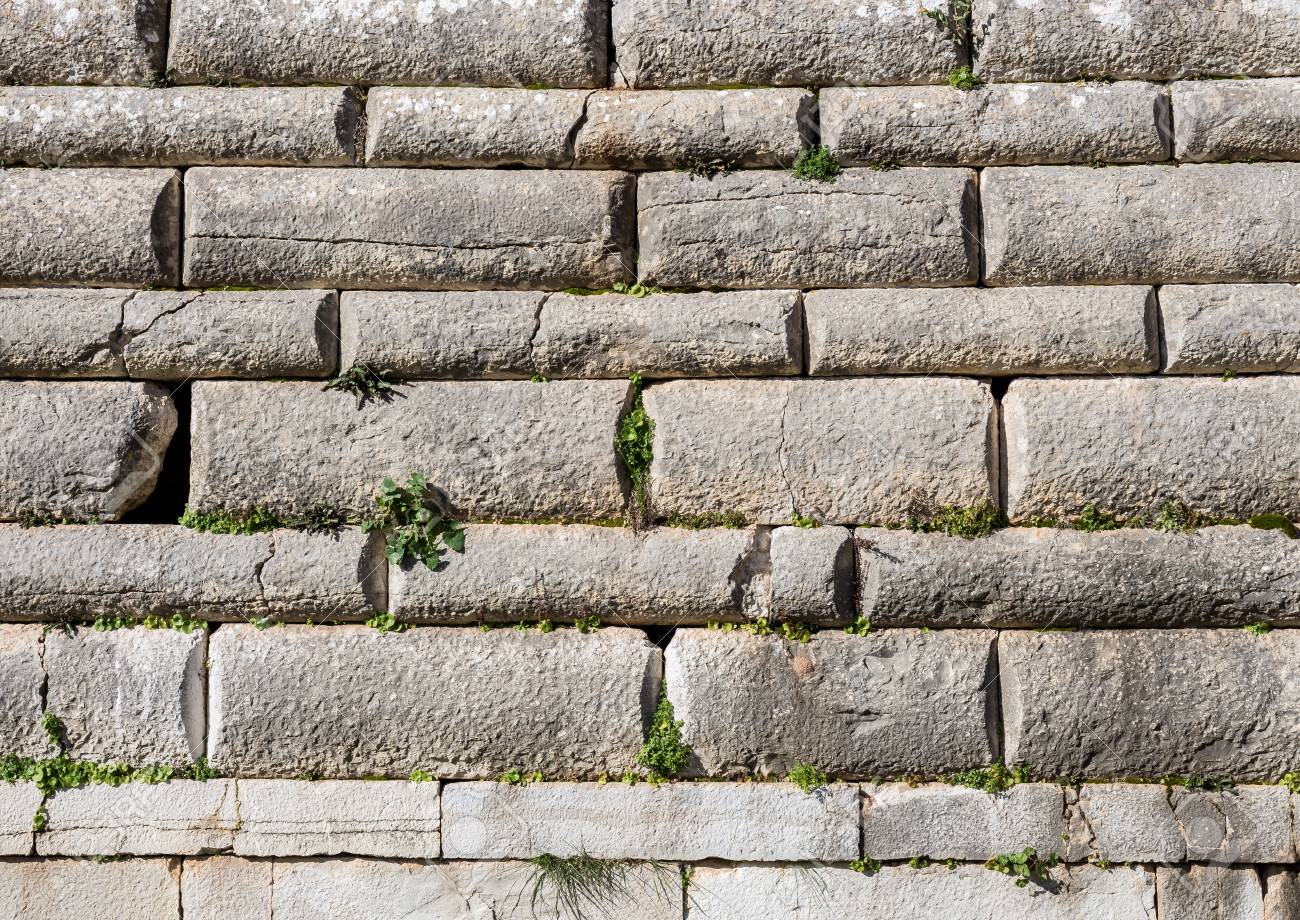 etiam-dictum-ipsum-a-felis