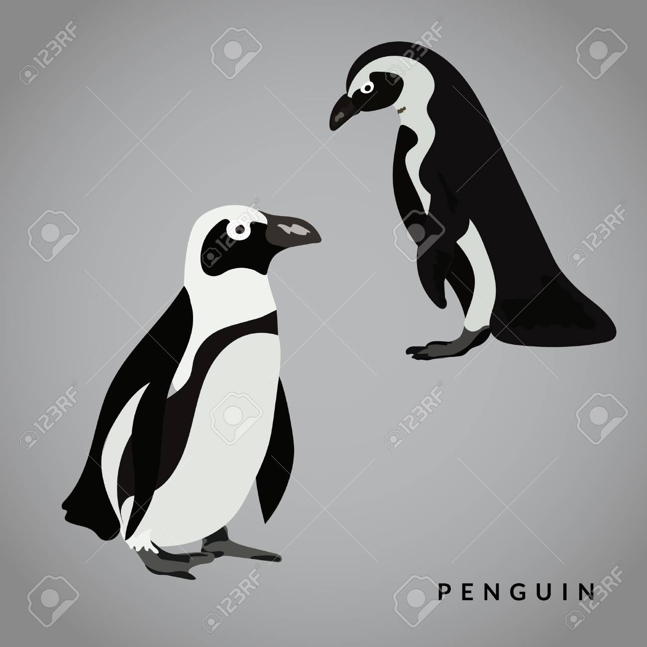 ペンギンのベクトル図です リアルな鳥 黒と白 のイラスト素材 ベクタ Image 5463 ペンギンのベクトル図です リアルな鳥 黒と白 のイラスト素材 ベクタ Image 5463