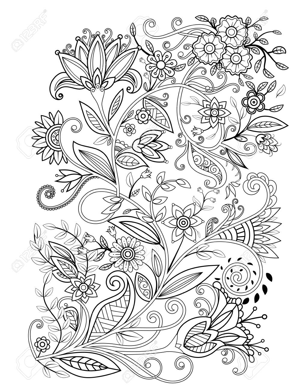 Floral adult coloring page. Black and white doodle flowers. Bouquet line art vector illustration isolated on white background. Design elements - 116070213 Floral adult coloring page. Black and white doodle flowers. Bouquet line art vector illustration isolated on white background. Design elements - 116070213