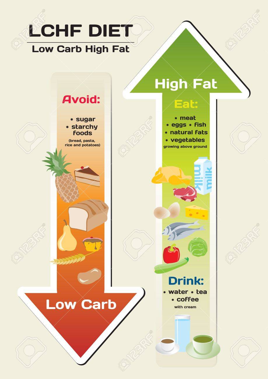 low carb high fat low carb high fat