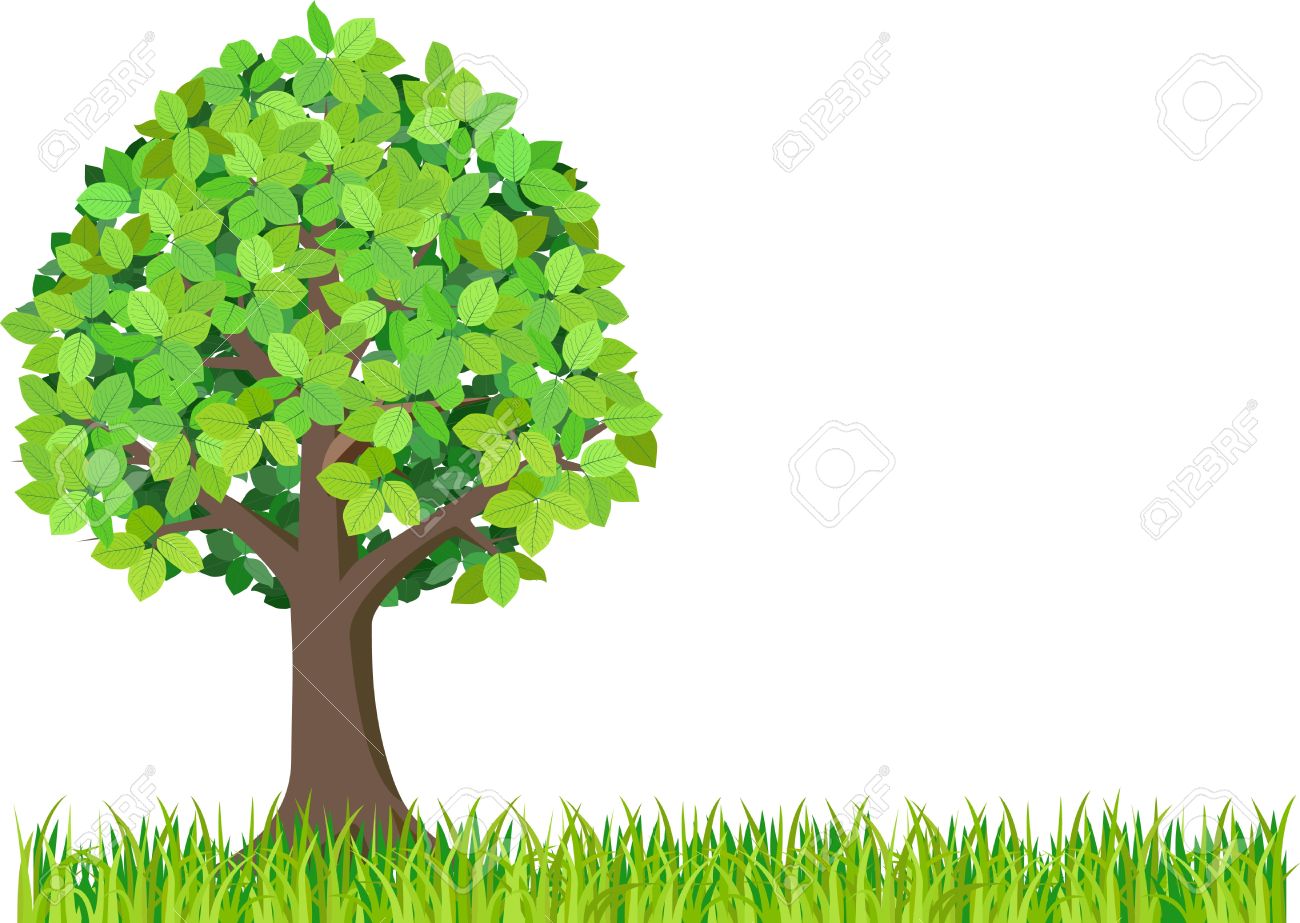 Grass And Green Tree Isolated On White Background. Royalty Free SVG,  Cliparts, Vectors, And Stock Illustration. Image 10935979.