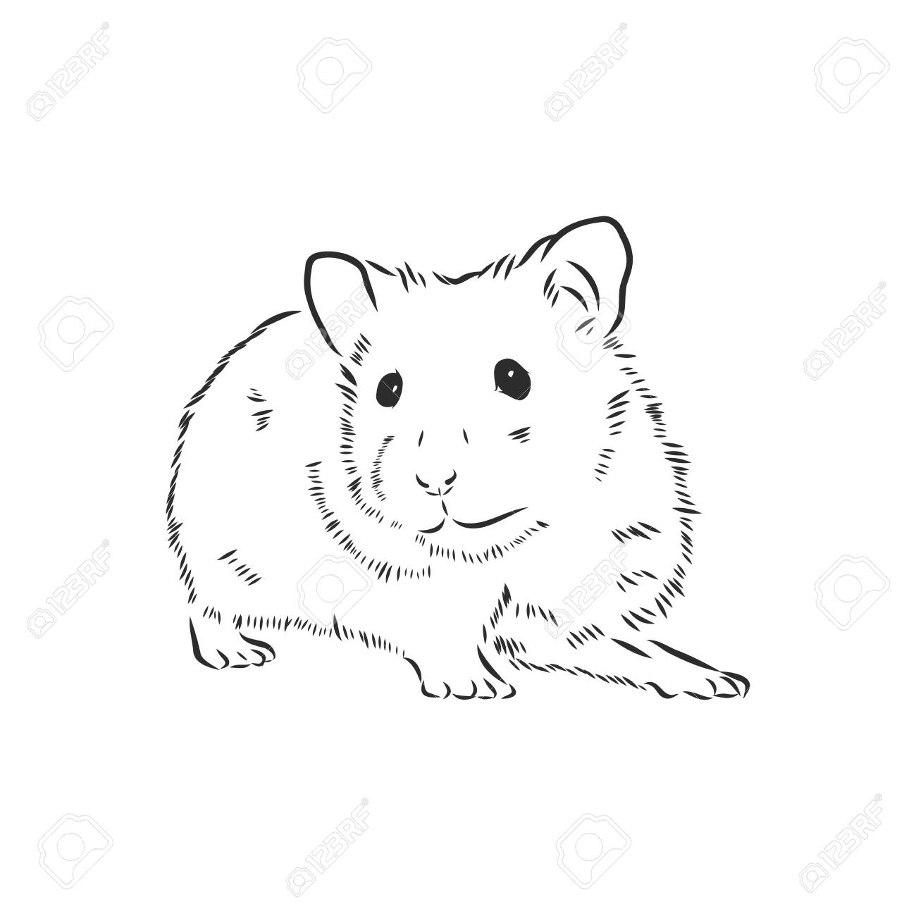Cute Hamster Pet Rodent Vector Sketch Royalty Free Cliparts Vectors And Stock Illustration Image