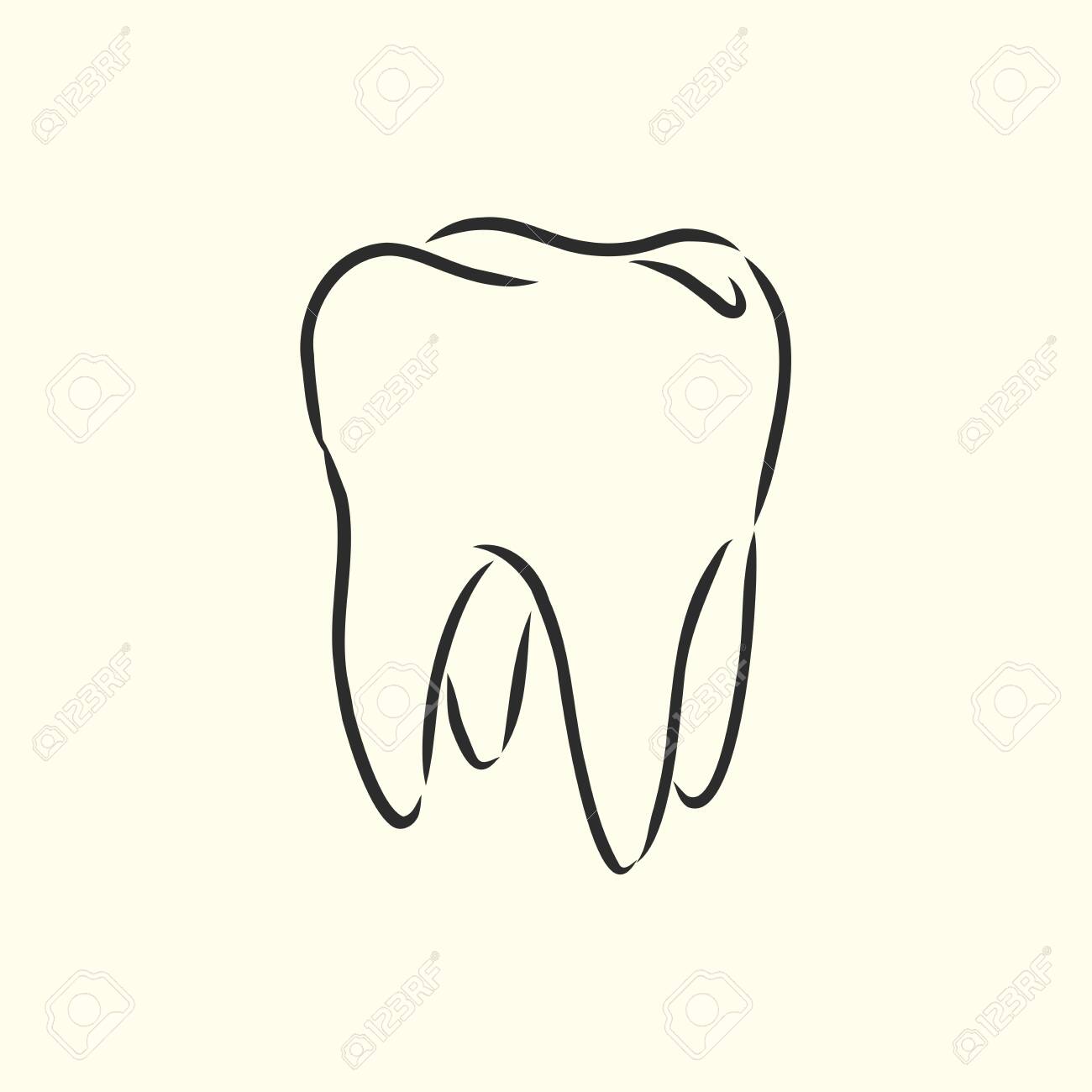 Hand Drawn Black Lines Sketch Molar Tooth Doodle Drawing Object Royalty Free Cliparts Vectors And Stock Illustration Image 148302503