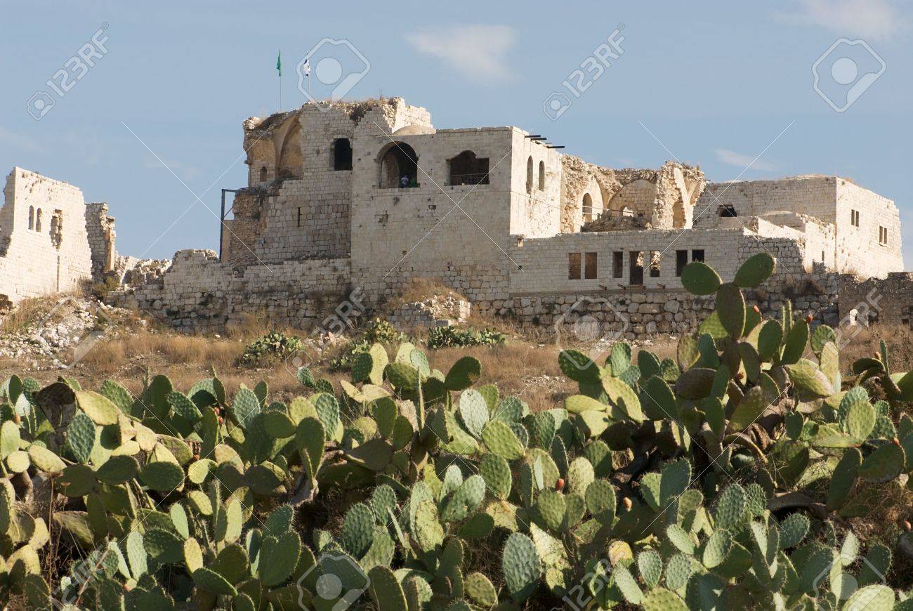 etiam-dictum-ipsum-a-felis