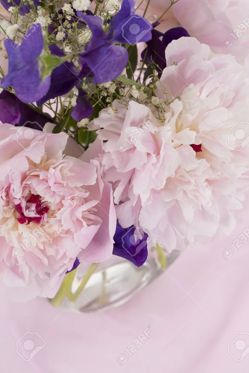 pink flowers stock photo picture and royalty free image image