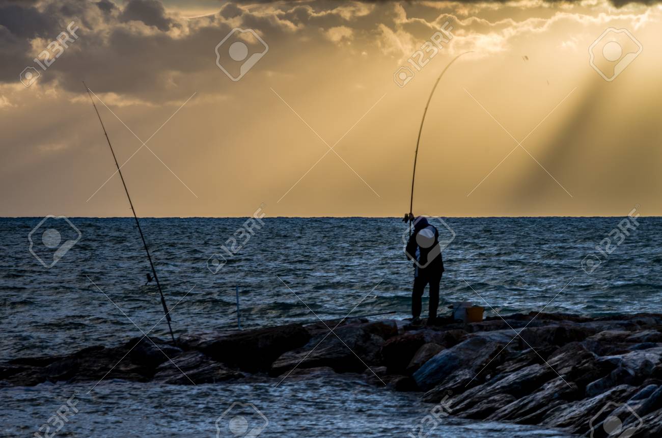 surfcaster rod and reel