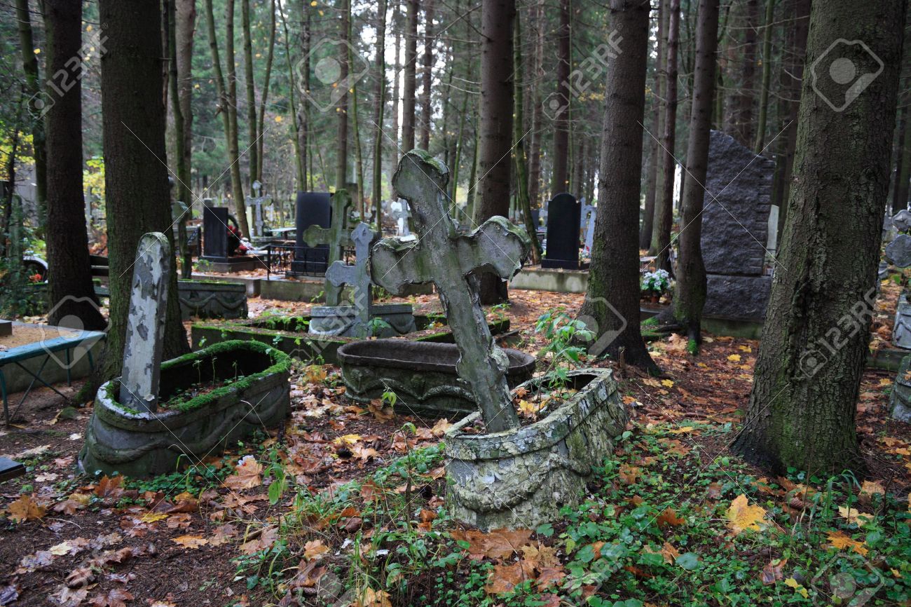 The Graveyard In The Woods