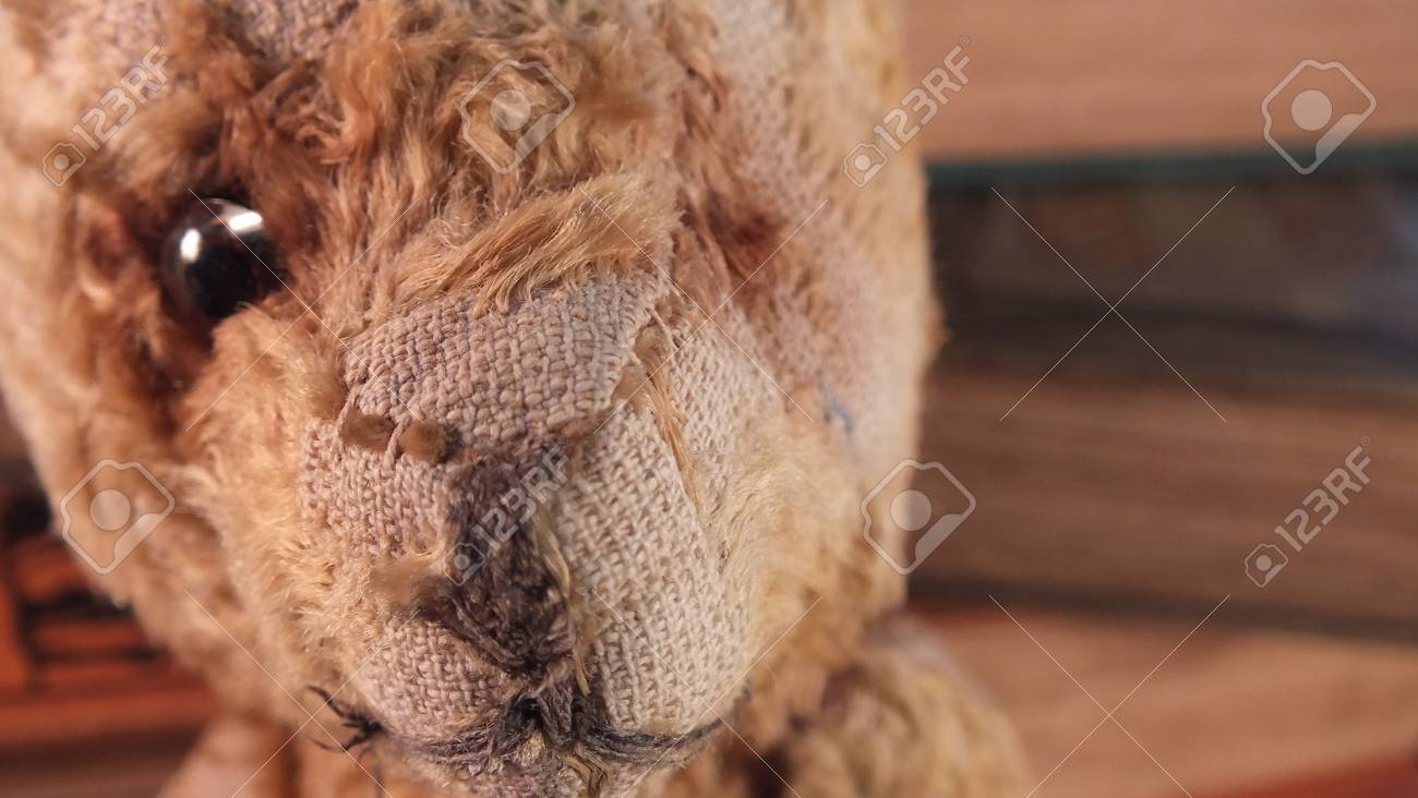scruffy teddy bear