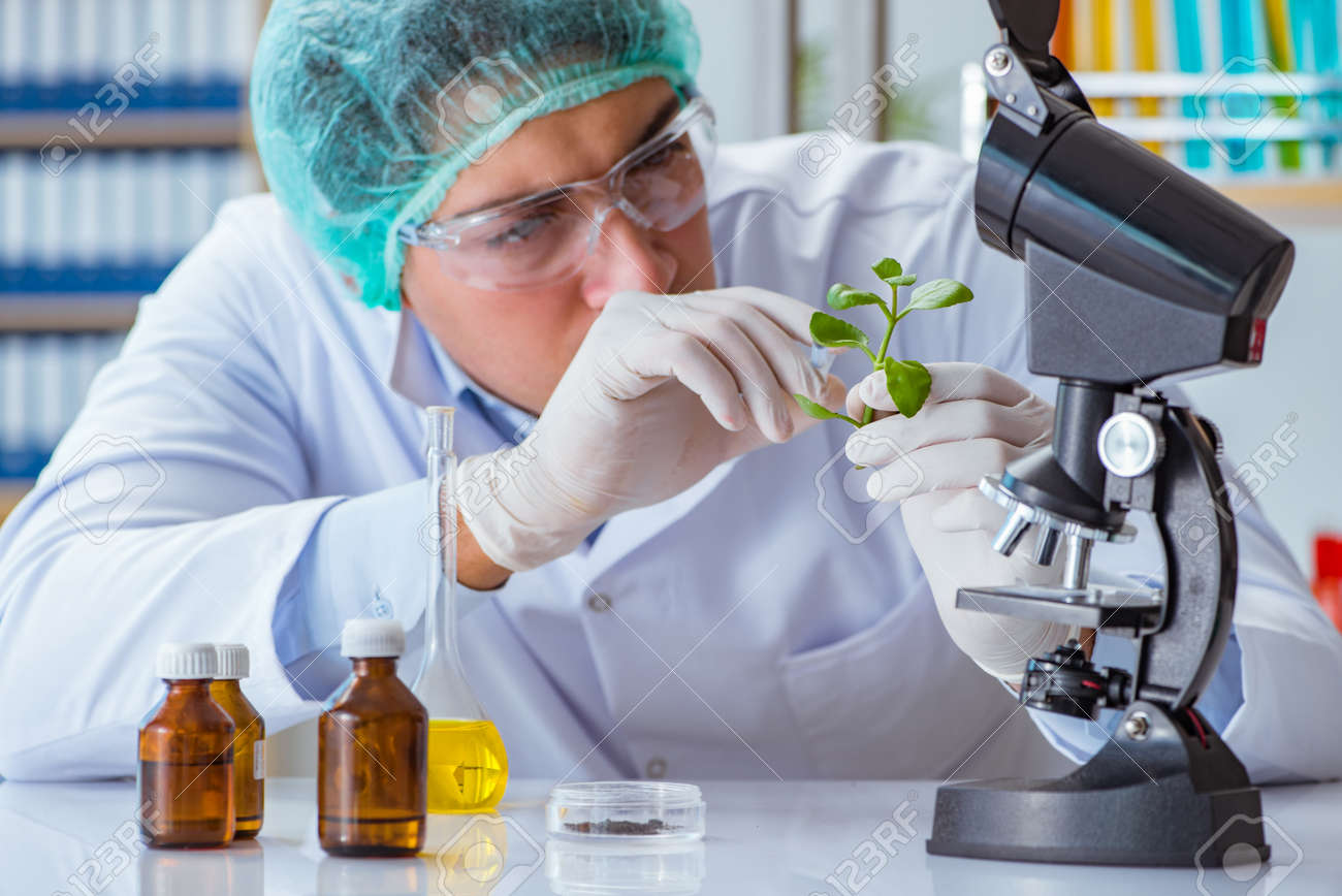 Biotechnology Scientist Working In The Lab Stock Photo, Picture And - 1300x867 - jpeg Biotechnology Working