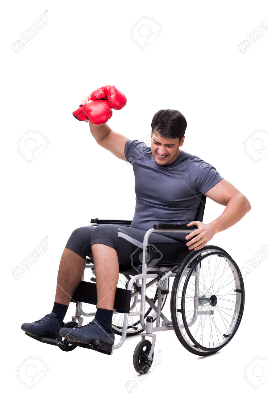 boxer recovering from injury on wheelchair stock photo picture and