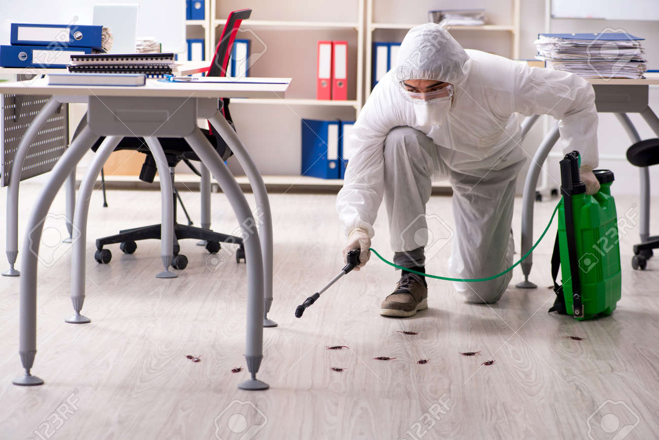 Professional contractor doing pest control at office - 118046122 Professional contractor doing pest control at office - 118046122