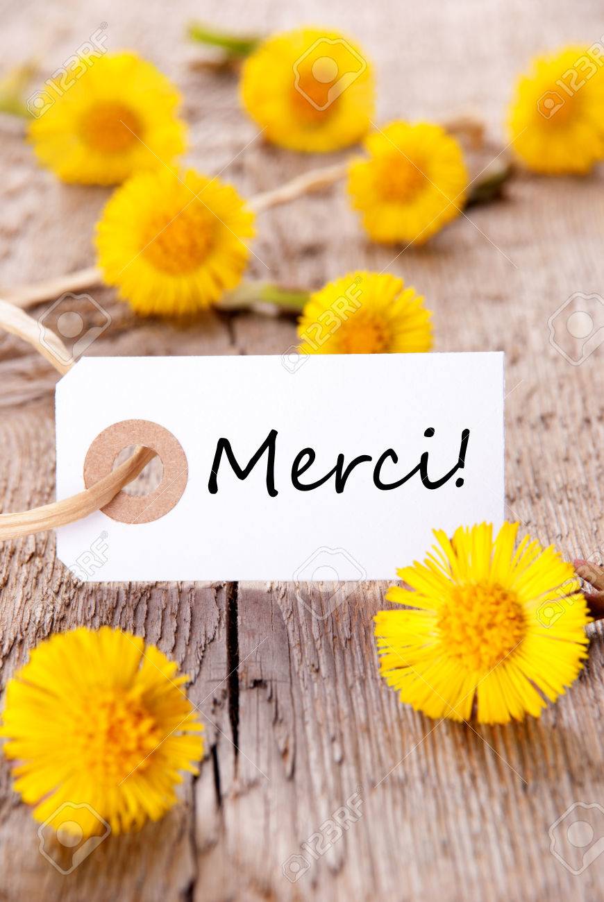おかげでを意味するフランス語単語 Merci 上でタグ付きの黄色の花 の写真素材 画像素材 Image