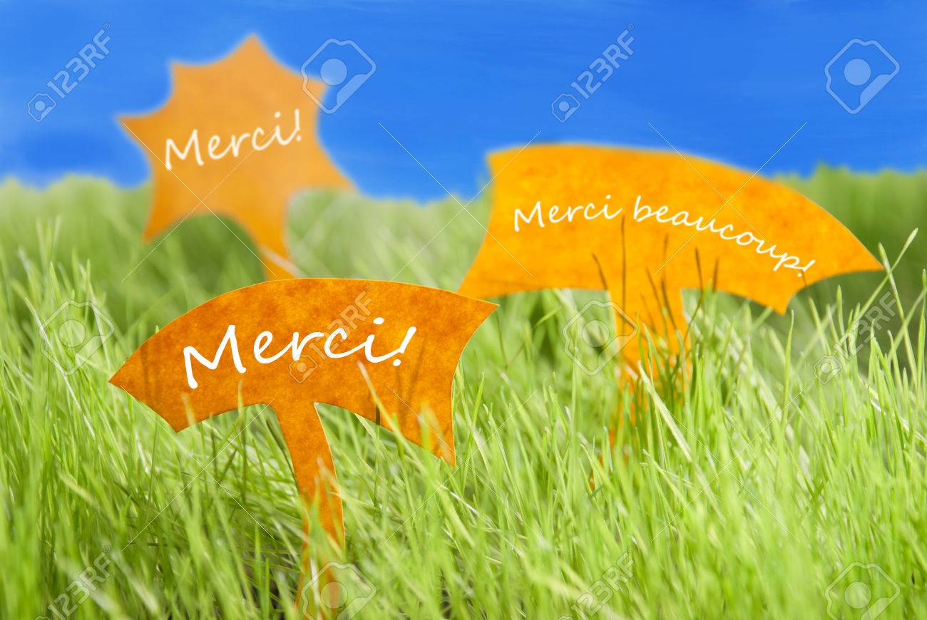 フランス語のテキスト Merci と沸かせ 意味するありがとう ありがとう非常に日当たりの良い緑の芝生の上春や夏を感じる青空の 3 つのラベル の写真素材 画像素材 Image