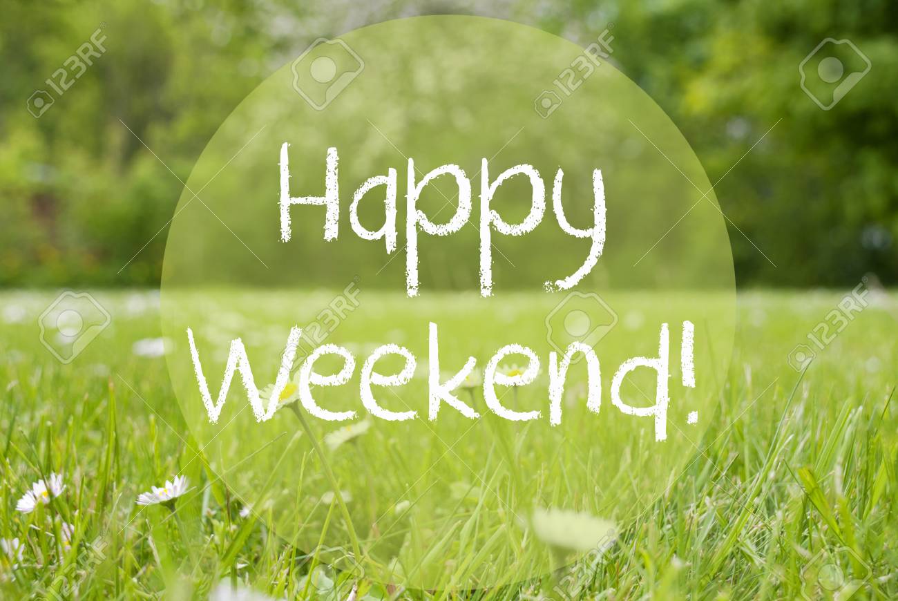 English Text Happy Weekend. Spring Or Summer Gras Meadow With Daisy Flowers. Blurry Trees As Background. Stock Photo, Picture And Royalty Free Image. Image 71201541.