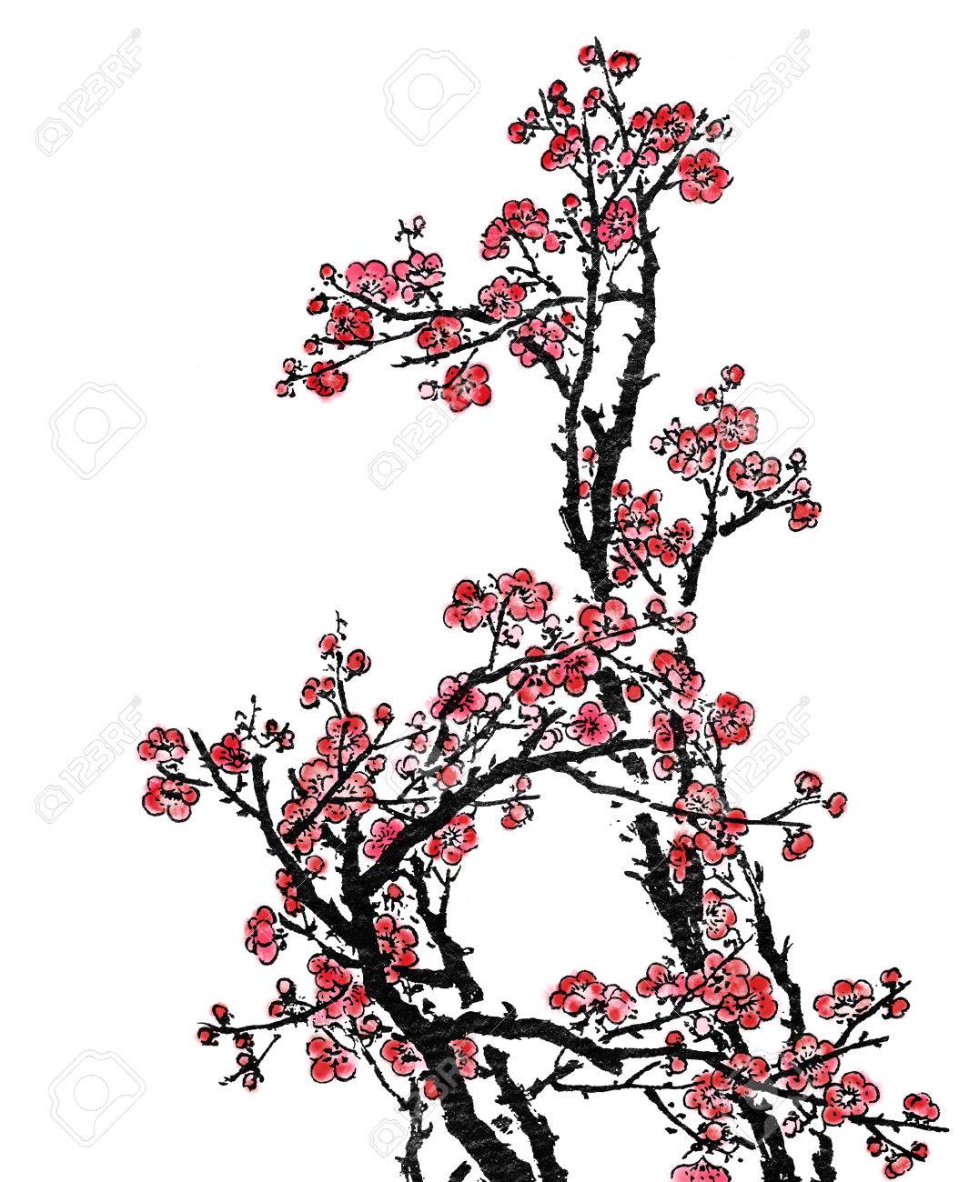梅の花 花 白い背景の上の中国の絵画 の写真素材 画像素材 Image 梅の花 花 白い背景の上の中国の絵画 の写真素材 画像素材 Image