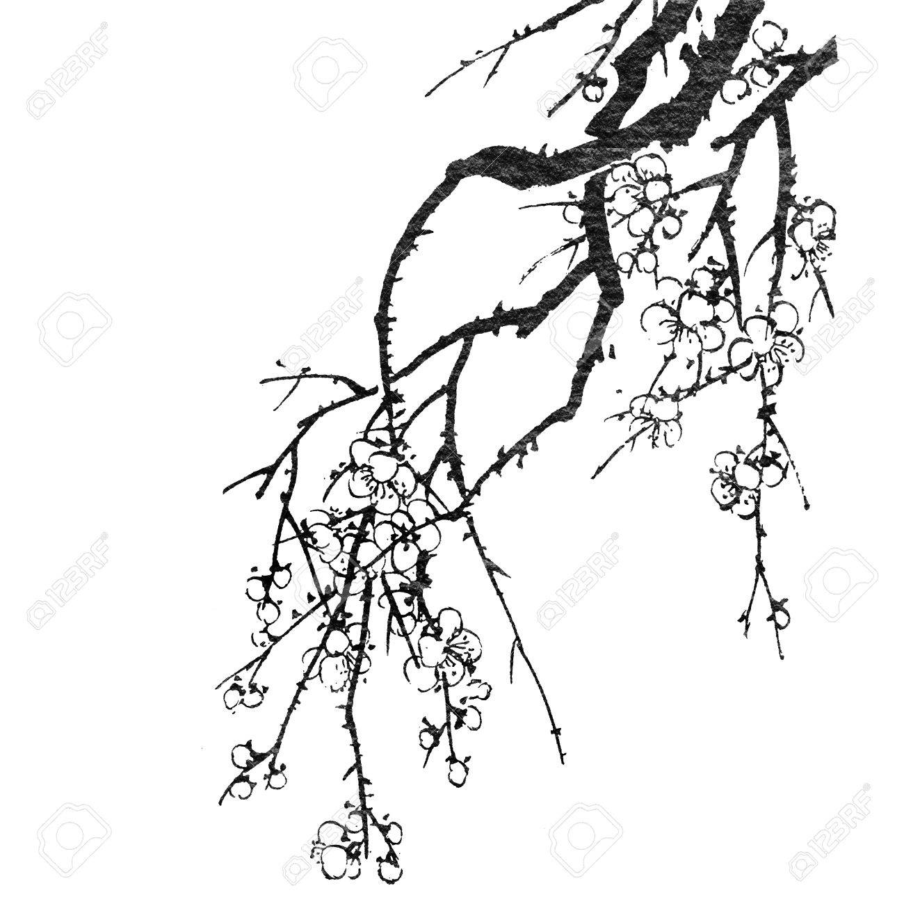 梅の花 花 白い背景の上の中国の絵画 の写真素材 画像素材 Image 31159631