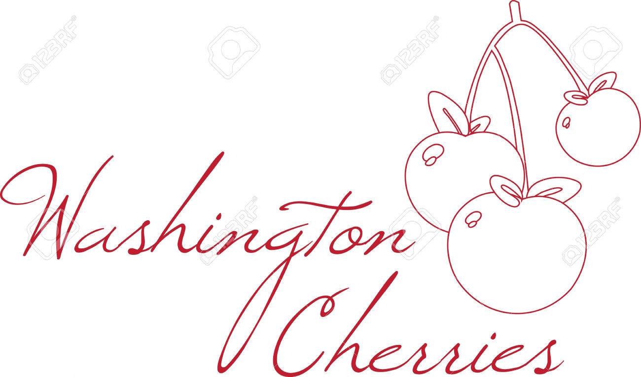 Enjoy The Colorful Cherry Outline Designs By Embroidery Patterns