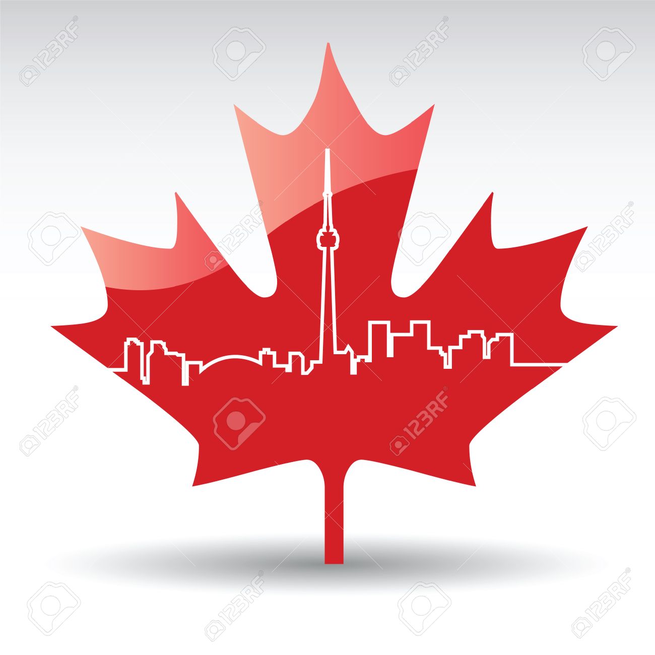 Toronto Maple Leaf Royalty Free Cliparts Vectors And Stock