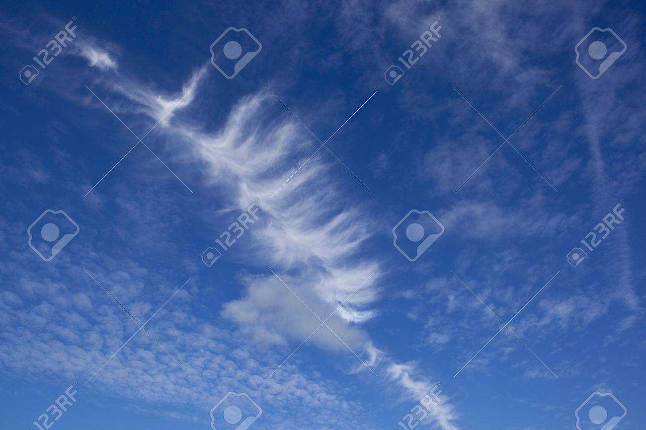 明るい青い空に白い羽のような雲の背景画像 の写真素材・画像素材 