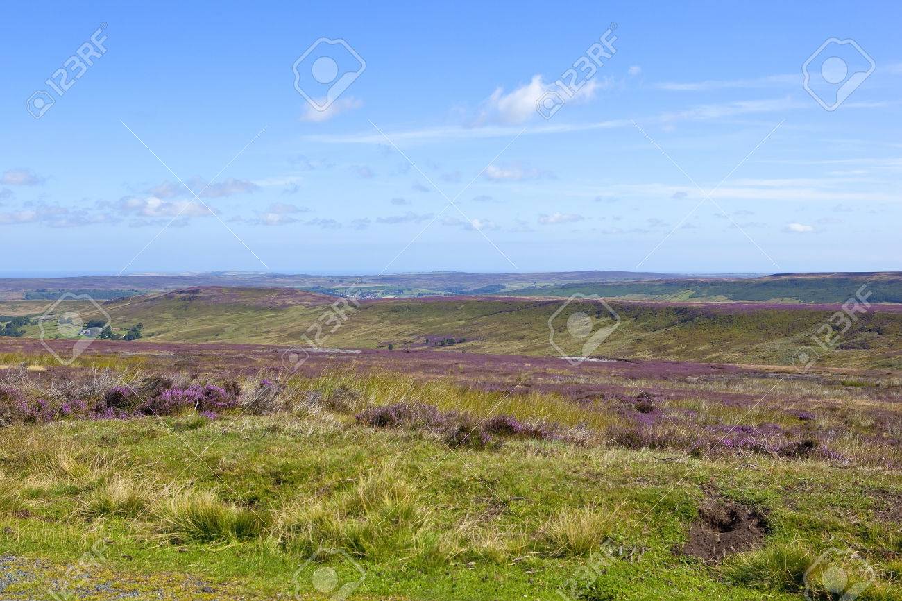 A Wild Rugged Moorland Landscape With Purple Flowering Heather Stock Photo Picture And Royalty Free Image Image 44350975