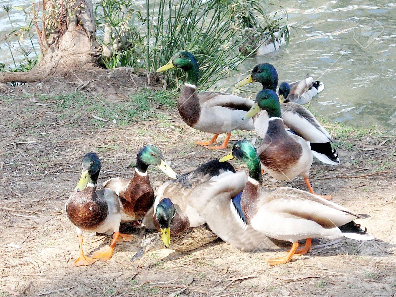 Related image