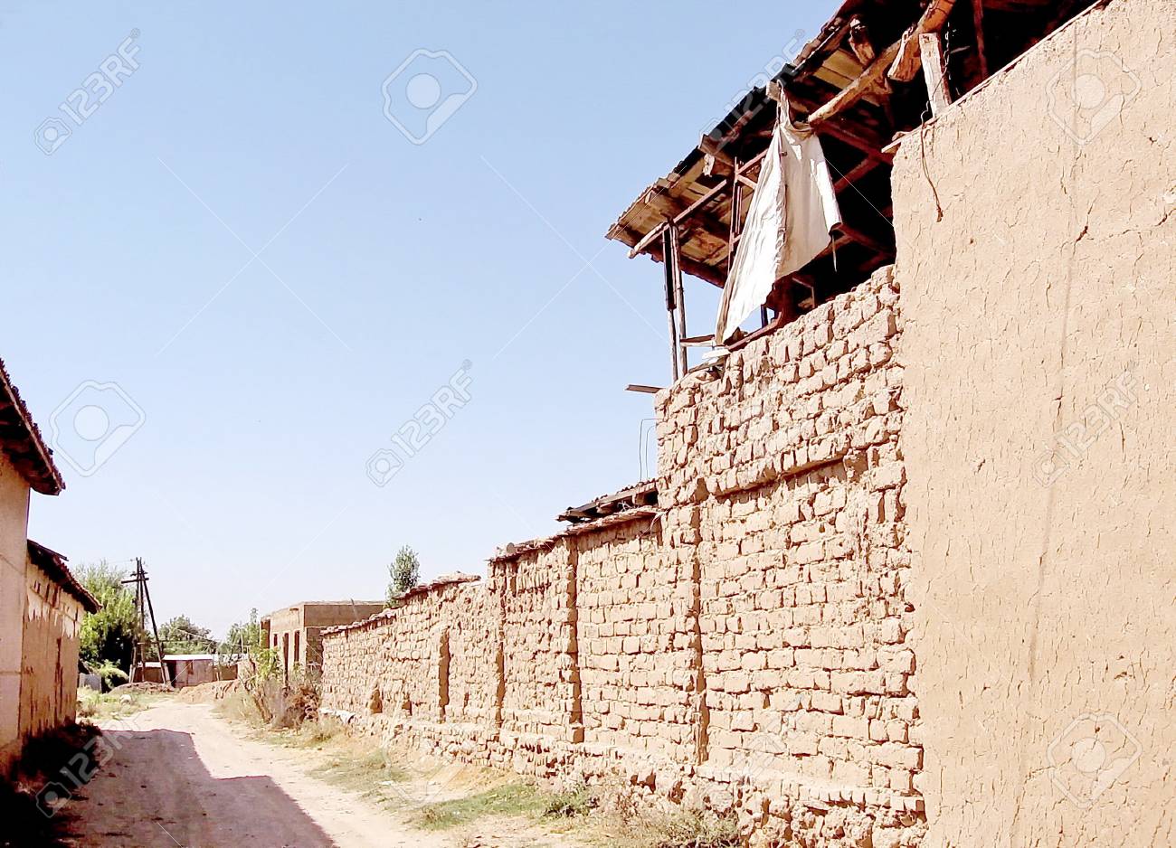 8 Motivos Porque O Adobe Stock E O Melhor Banco De Imagens De Todos Os Tempos Buysoft