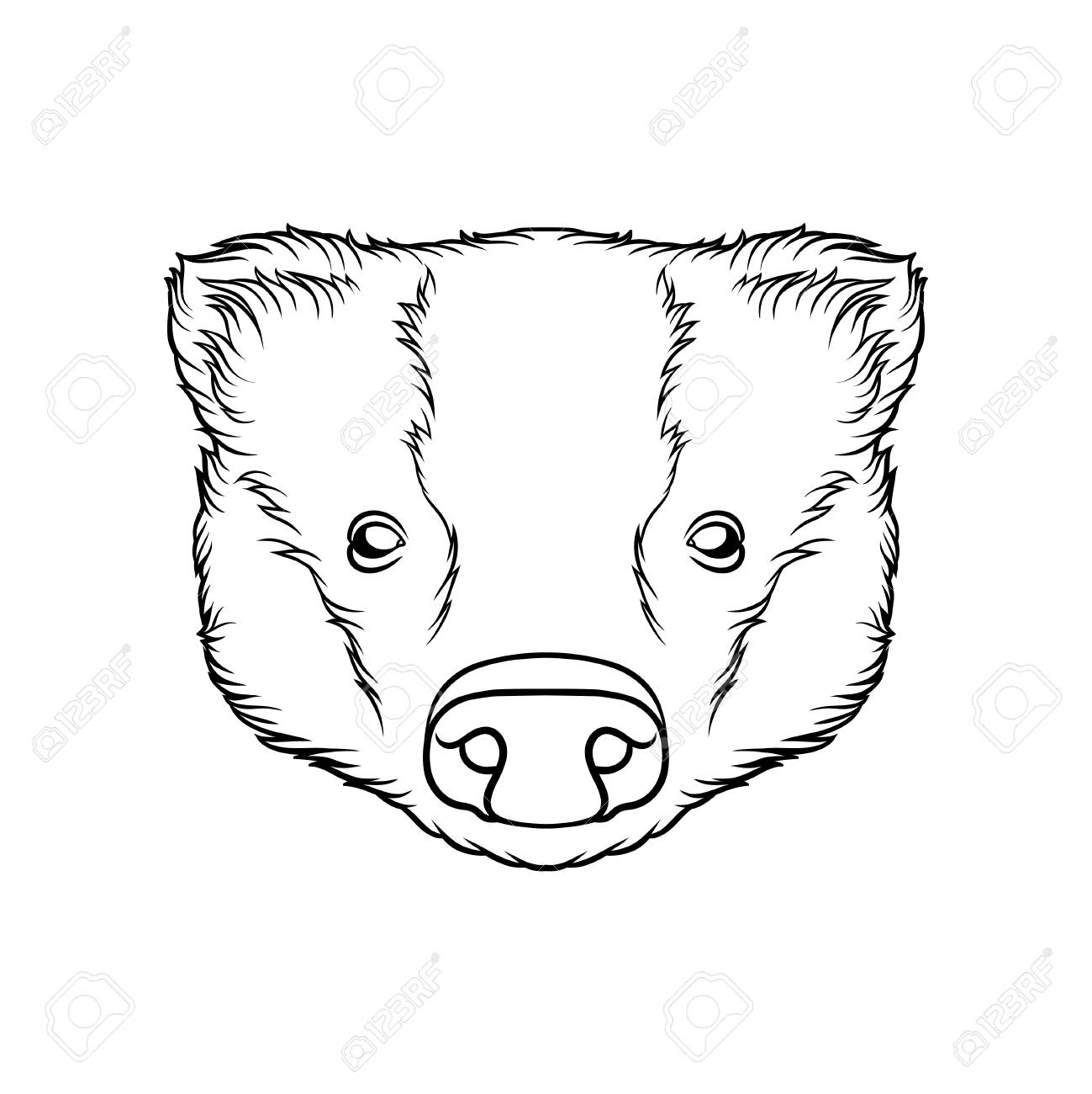 豚の頭のスケッチ 家畜の肖像画 白黒 手描きベクトルイラスト のイラスト素材 ベクタ Image