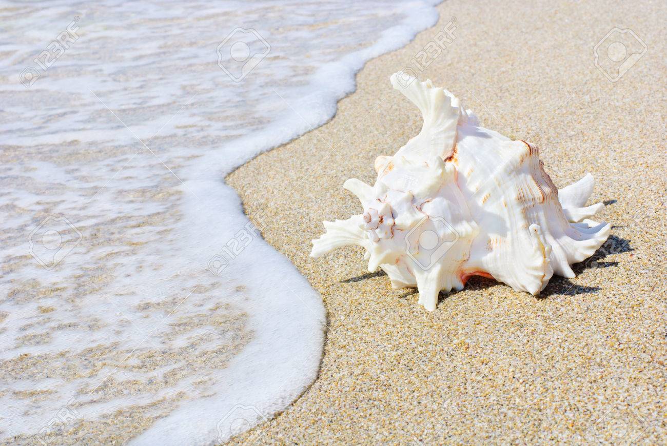 波に対してきれいな砂浜で貝殻と海の背景 の写真素材 画像素材 Image