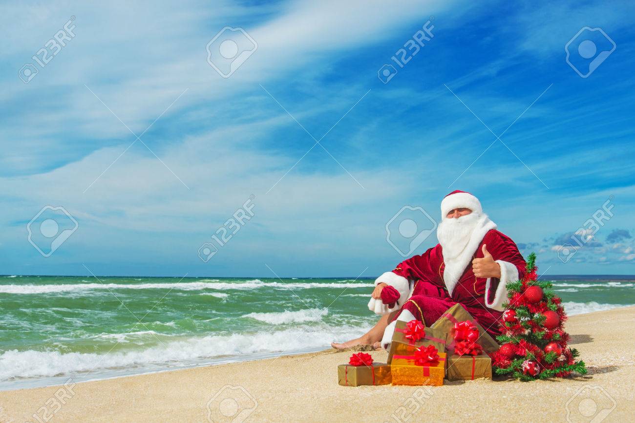 ヤシの木の下でくつろぐサンタ ビーチの休日 クリスマスオーナメント 新商品1点のみ ハワイ クリスマスオーナメント サンタ ハワイアン ヤシの木 | Itoshima Heart Nuts  Factory（いとナッツ） powered by BASE