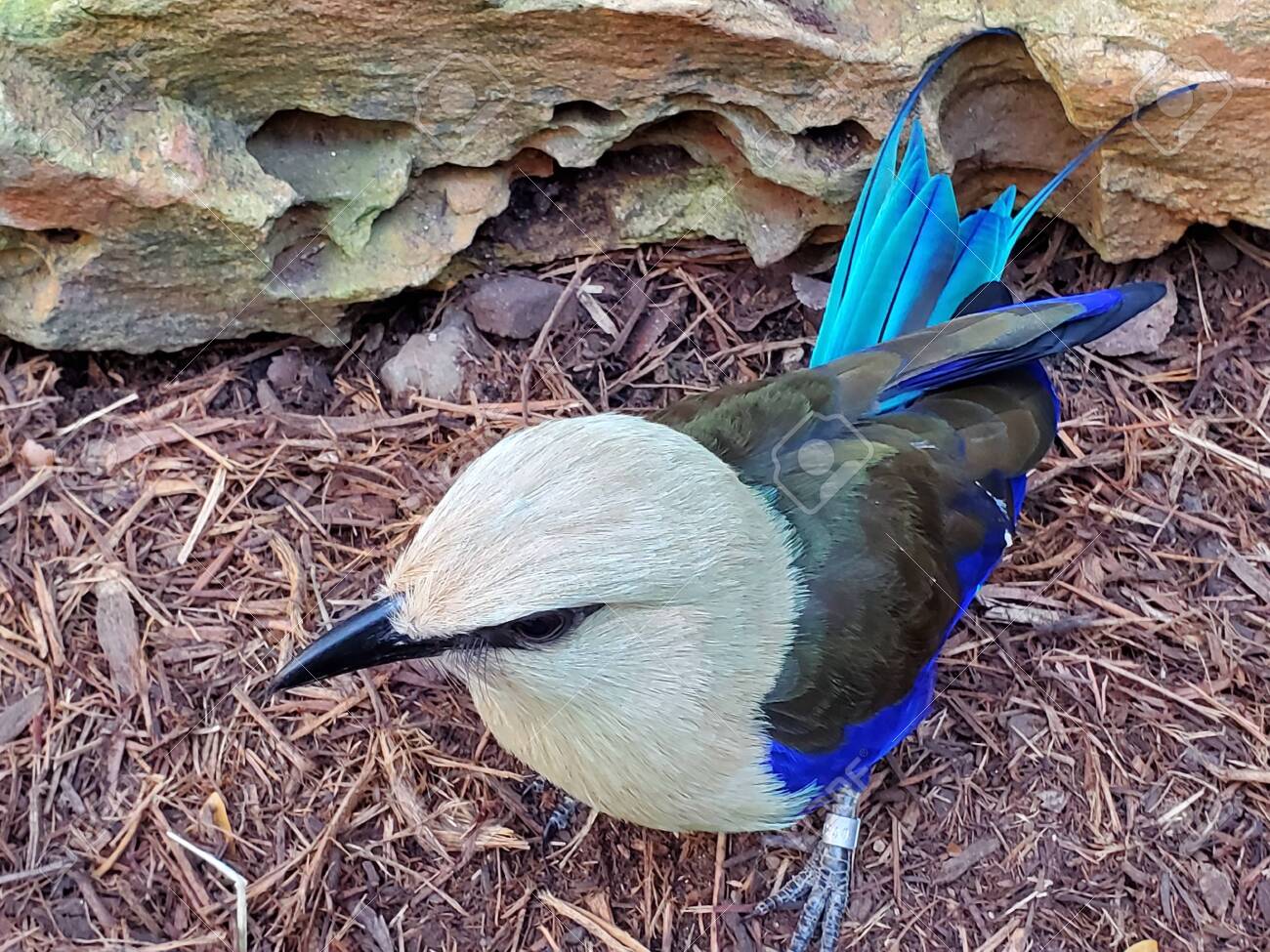 etiam-dictum-ipsum-a-felis