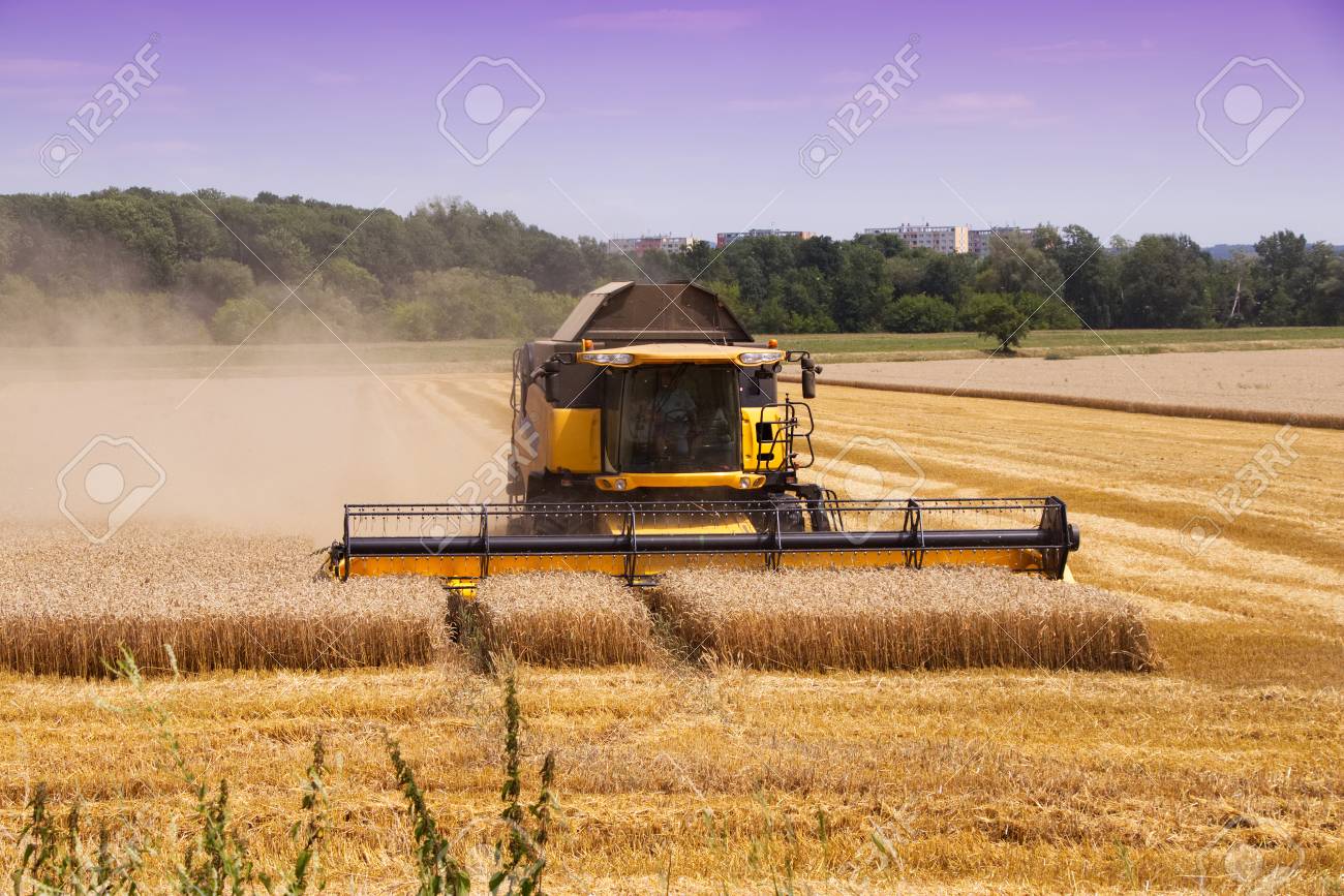 Combine Harvester Machine Harvesting 